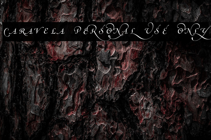 Caravela PERSONAL USE ONLY Example 2