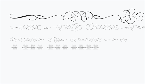 Caravela Swash PERSONAL USE Business Card