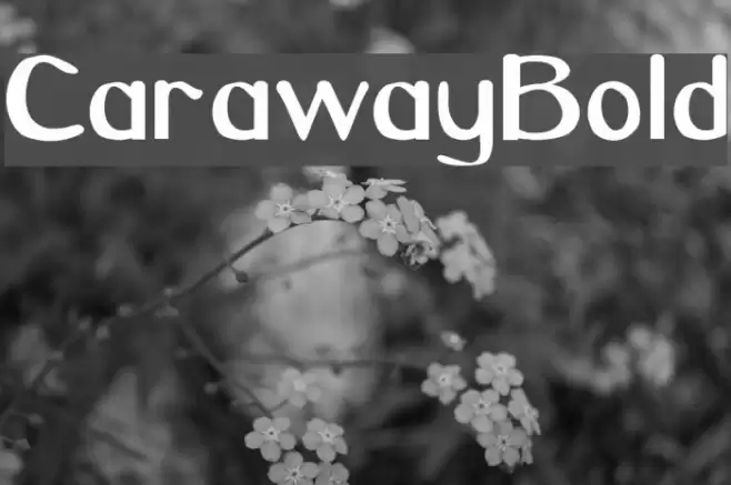 CarawayBold Fuentes examples