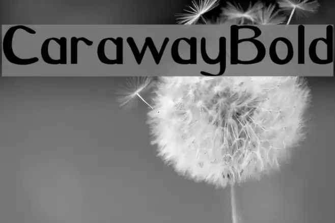 CarawayBold Fuentes examples