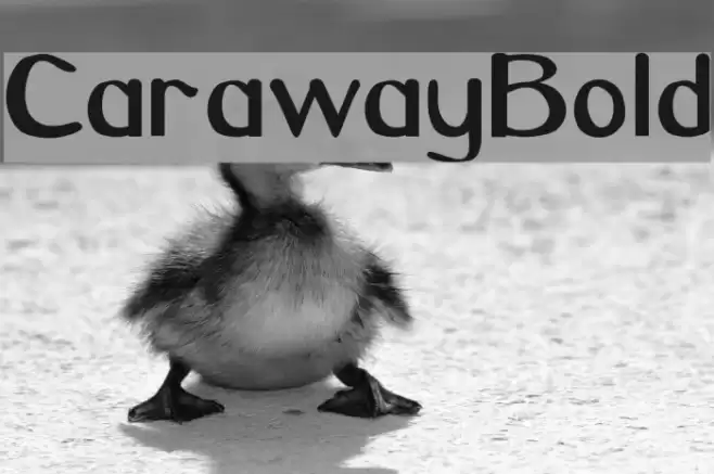 CarawayBold Fuentes examples