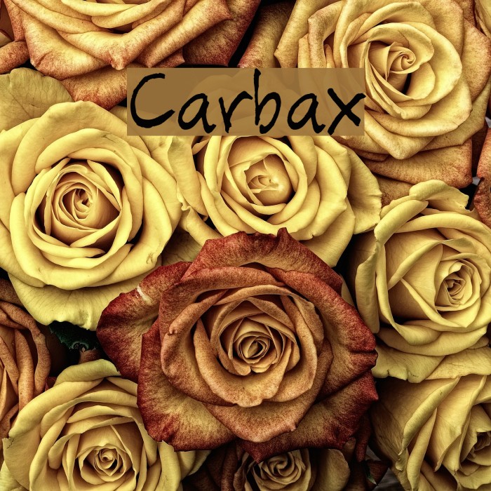 Carbax Font examples