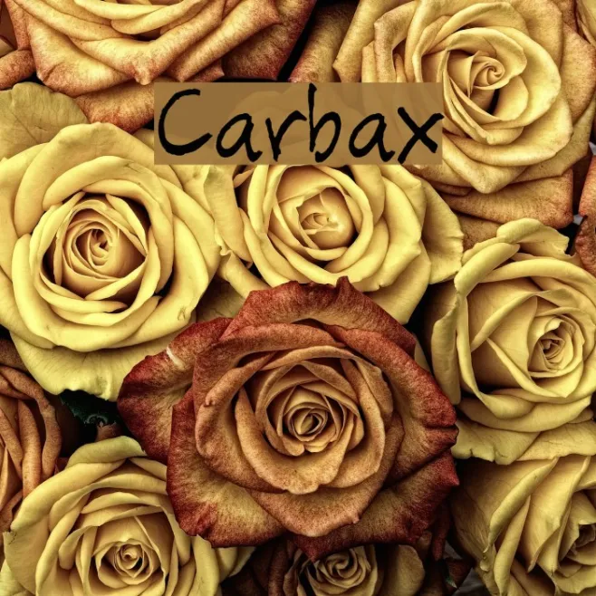 Carbax Example 1
