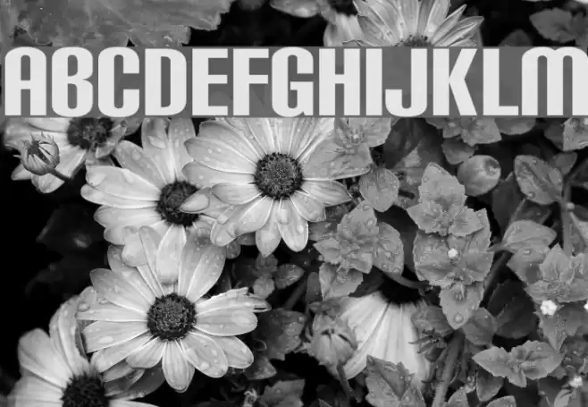 Carbon Block Font examples