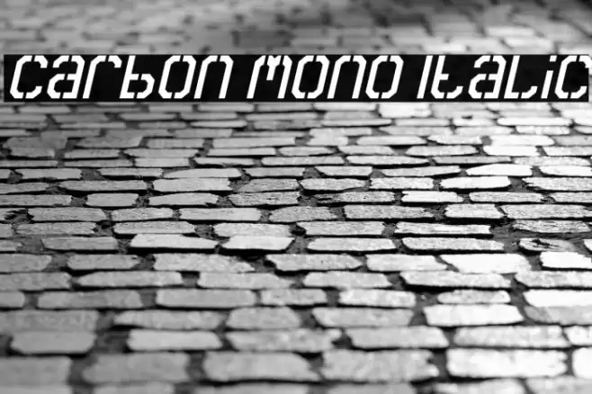 Carbon Mono Italic Polices examples