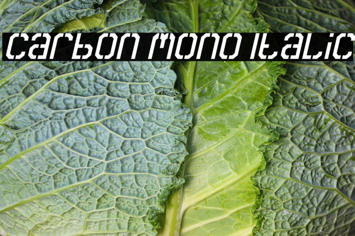 Carbon Mono Italic Example 2