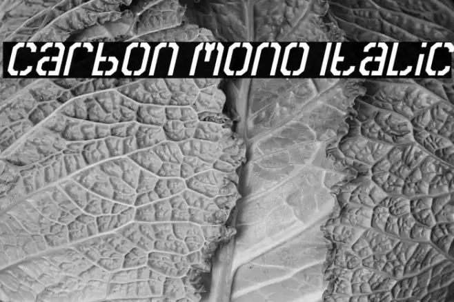 Carbon Mono Italic Polices examples
