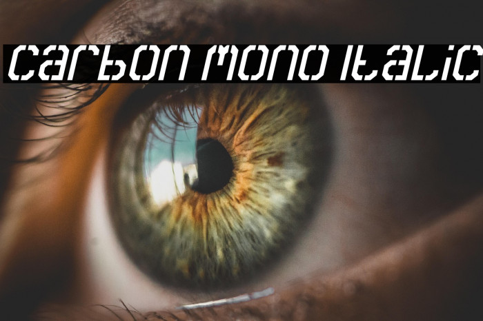 Carbon Mono Italic Example 3