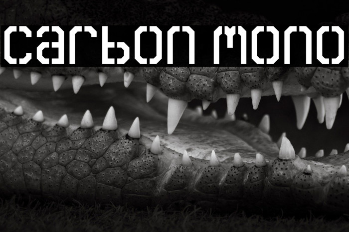 Carbon Mono Example 1