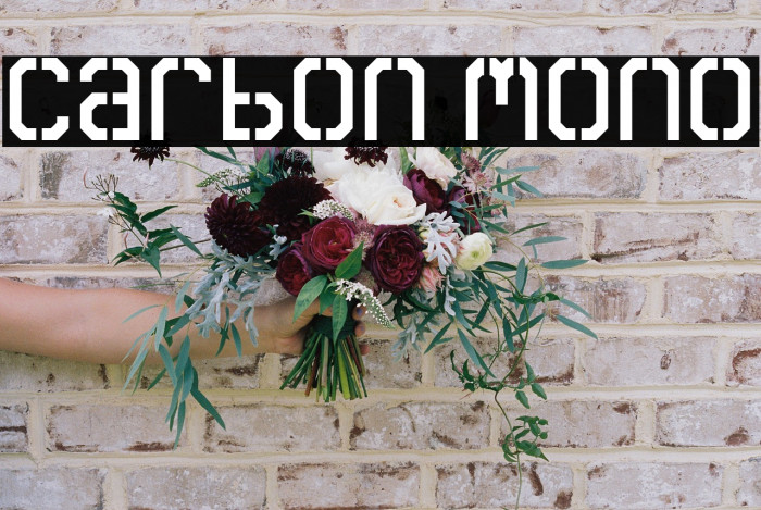 Carbon Mono Example 2