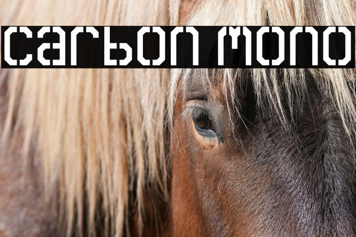 Carbon Mono Example 3