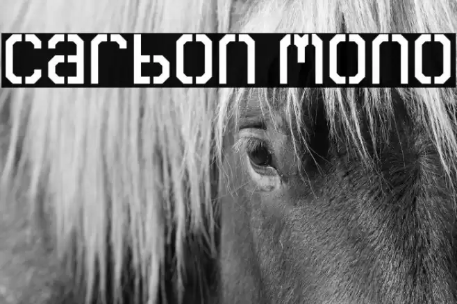 Carbon Mono Caratteri examples