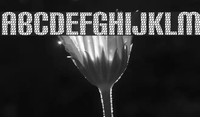 Carbon Phyber Font examples