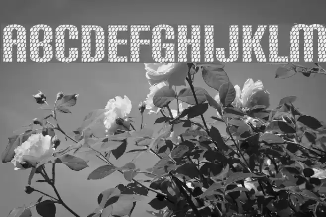 Carbon Phyber Font examples