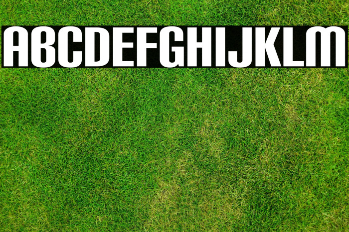 CarbonBl-Regular Example 3