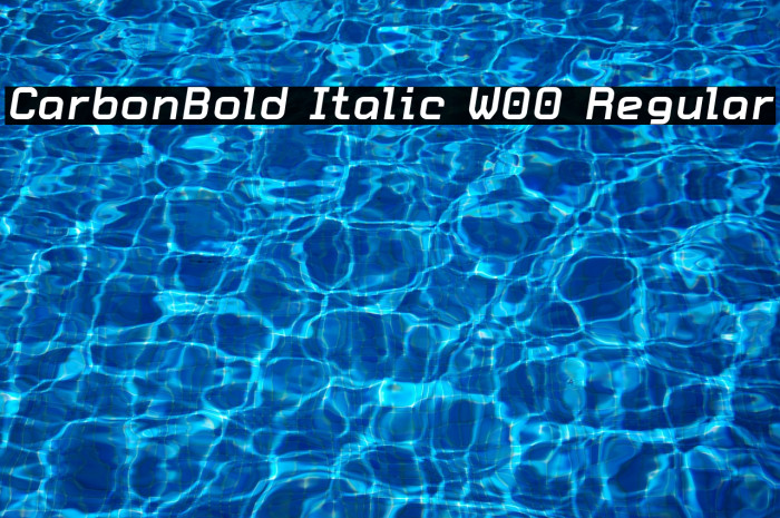 CarbonBold Italic W00 Regular Font examples