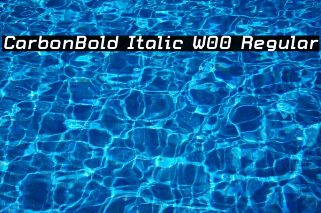 CarbonBold Italic W00 Regular Example 1