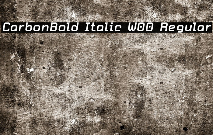 CarbonBold Italic W00 Regular Font examples