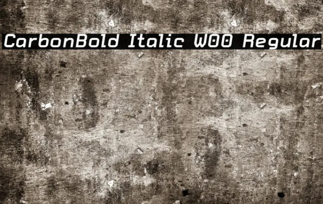CarbonBold Italic W00 Regular Example 3