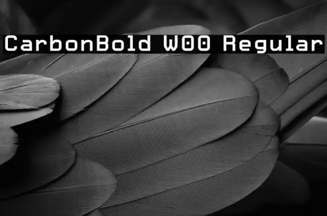 CarbonBold W00 Regular Font examples