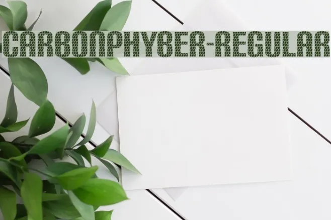 CarbonPhyber-Regular Example 3