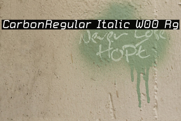 CarbonRegular Italic W00 Rg Шрифта examples