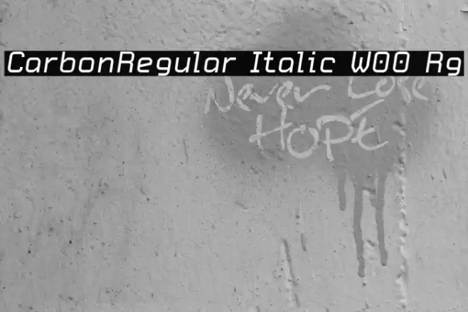 CarbonRegular Italic W00 Rg Font examples