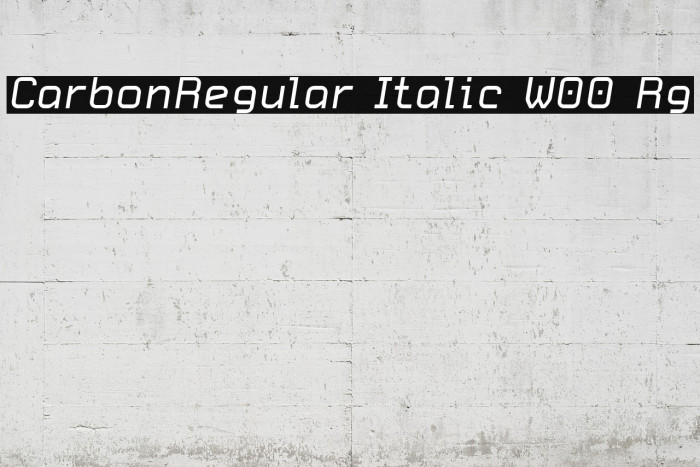 CarbonRegular Italic W00 Rg Шрифта examples