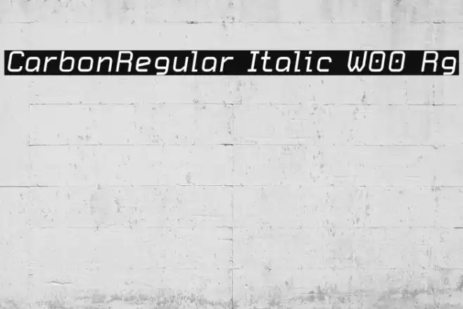 CarbonRegular Italic W00 Rg Font examples