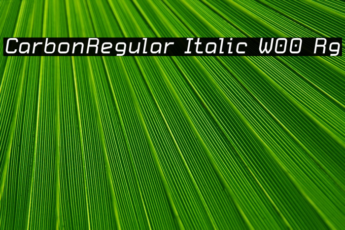 CarbonRegular Italic W00 Rg Шрифта examples