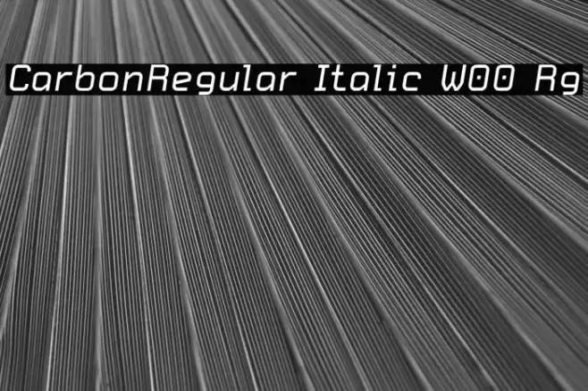 CarbonRegular Italic W00 Rg Font examples