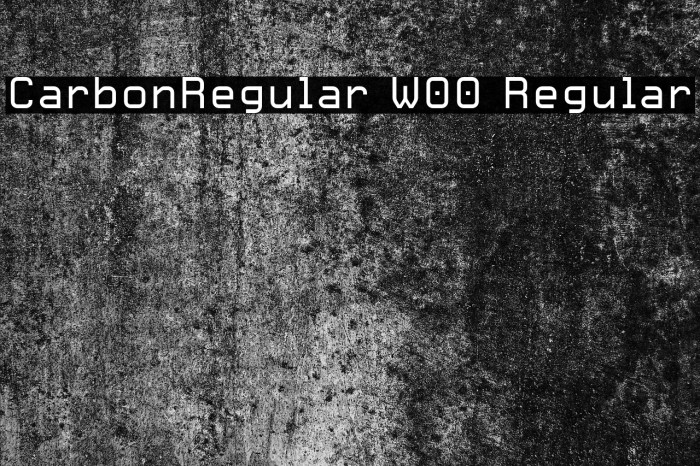 CarbonRegular W00 Regular Font examples
