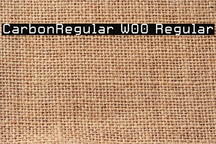 CarbonRegular W00 Regular Font examples