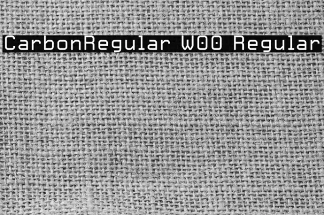 CarbonRegular W00 Regular フォント examples