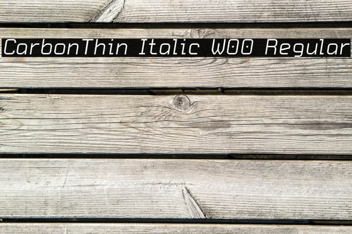 CarbonThin Italic W00 Regular Font examples