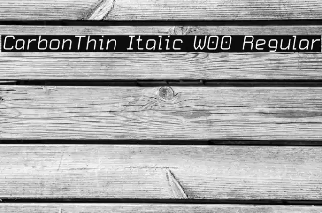 CarbonThin Italic W00 Regular Шрифта examples