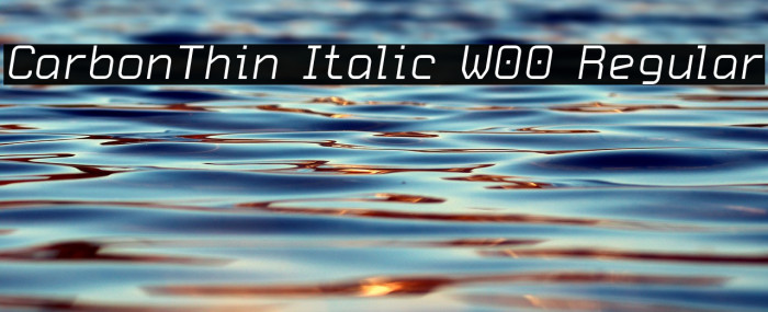 CarbonThin Italic W00 Regular Font examples