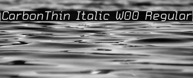 CarbonThin Italic W00 Regular Шрифта examples