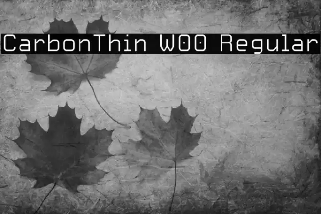 CarbonThin W00 Regular Font examples