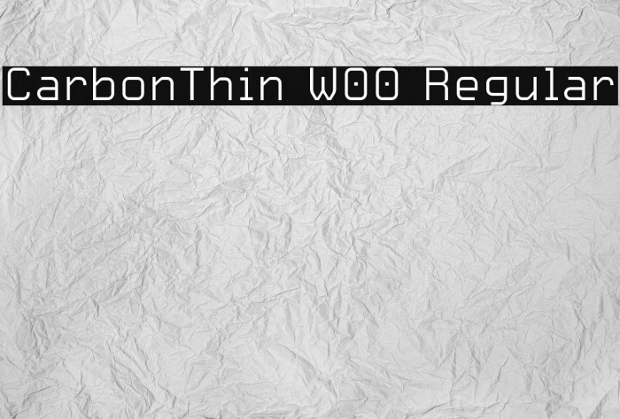 CarbonThin W00 Regular Font examples