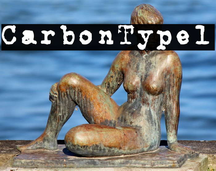 CarbonType1 Example 1