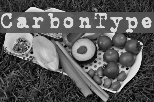 CarbonType フォント examples