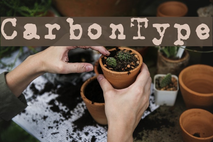 CarbonType Font examples