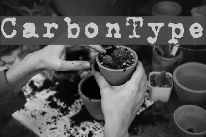 CarbonType フォント examples