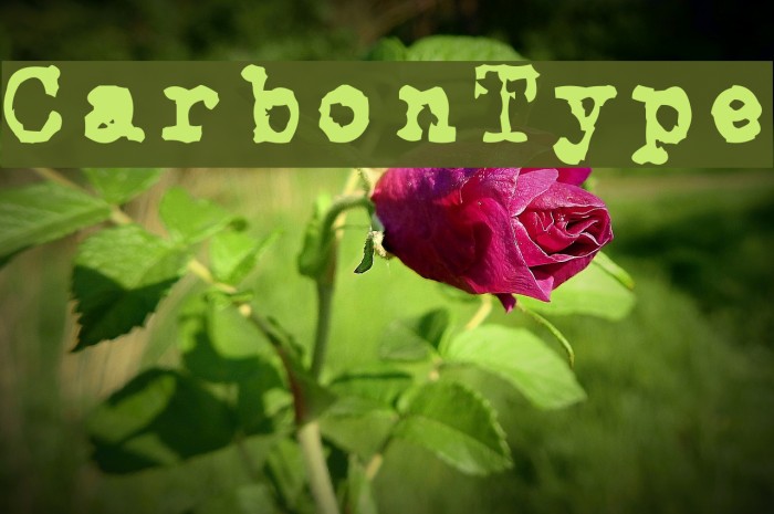 CarbonType Font examples