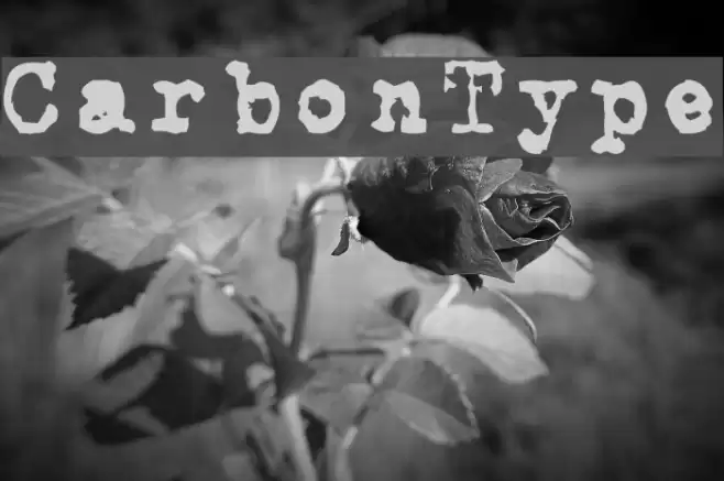 CarbonType フォント examples