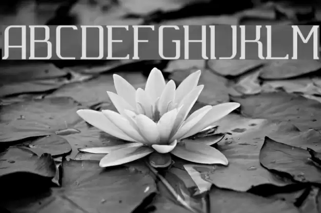 Carbona Font examples