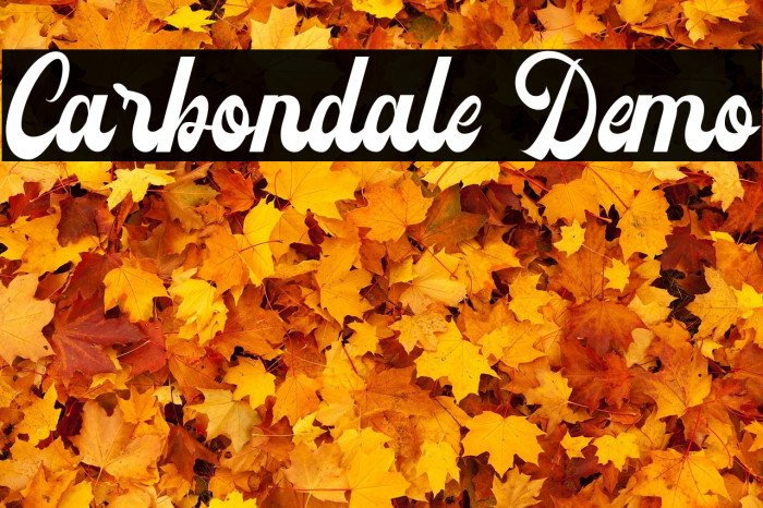 Carbondale Demo Example 1