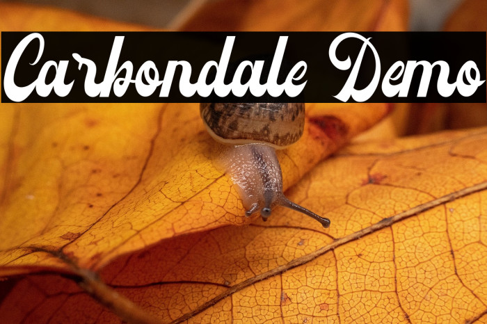 Carbondale Demo Example 3