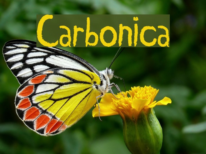 Carbonica Font examples